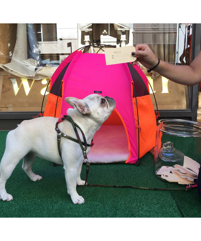 Pup Tent Hound Lounge - TANK TINKER