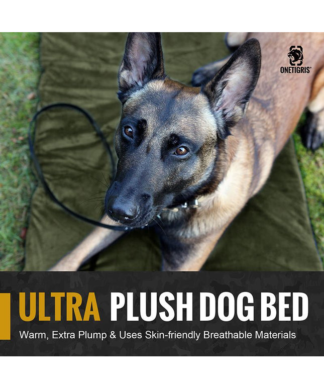 DOG SLEEPING MAT 04 - TANK TINKER