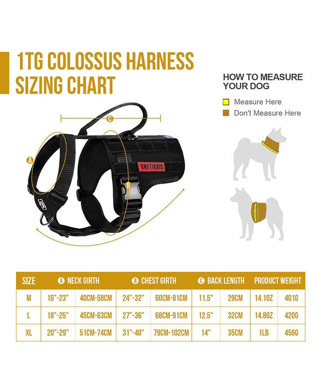 COLOSSUS TACTICAL HARNESS - TANK TINKER