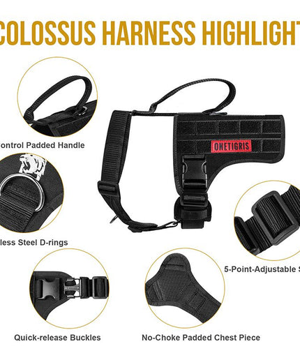 COLOSSUS TACTICAL HARNESS - TANK TINKER