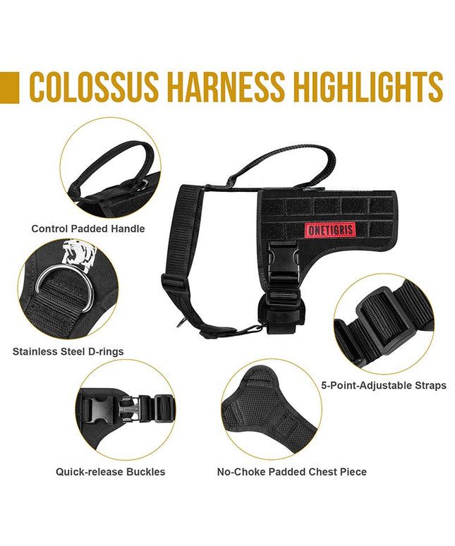 COLOSSUS TACTICAL HARNESS - TANK TINKER